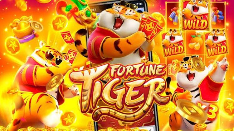 tiger casino imagem de tela 4