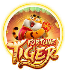 jinan xingzhou - Slots Casino ícone